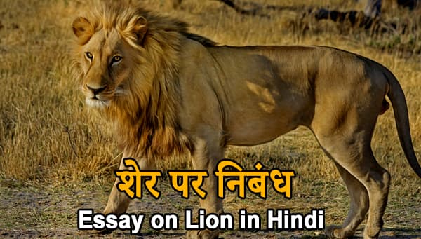 essay about lion in hindi