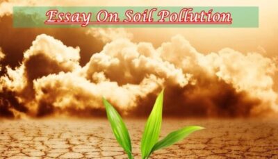 Essay on Soil Pollution In Hindi, Land pollution