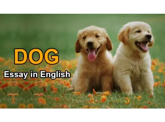 dog essay in english
