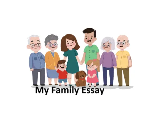 my-family-essay in english