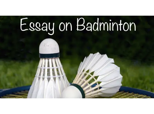 My Favourite Game Badminton essay