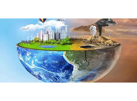 Environmental Pollution essay