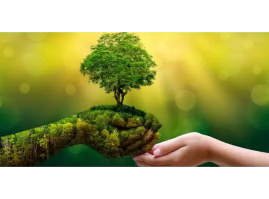 पेड़ पौधे और हमारा जीवन